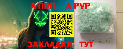 прущие грибы Гудермес