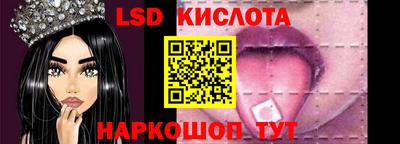прущие грибы Гудермес