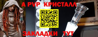 прущие грибы Гудермес