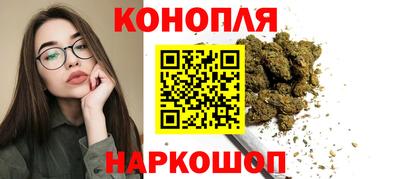 индика Гуково