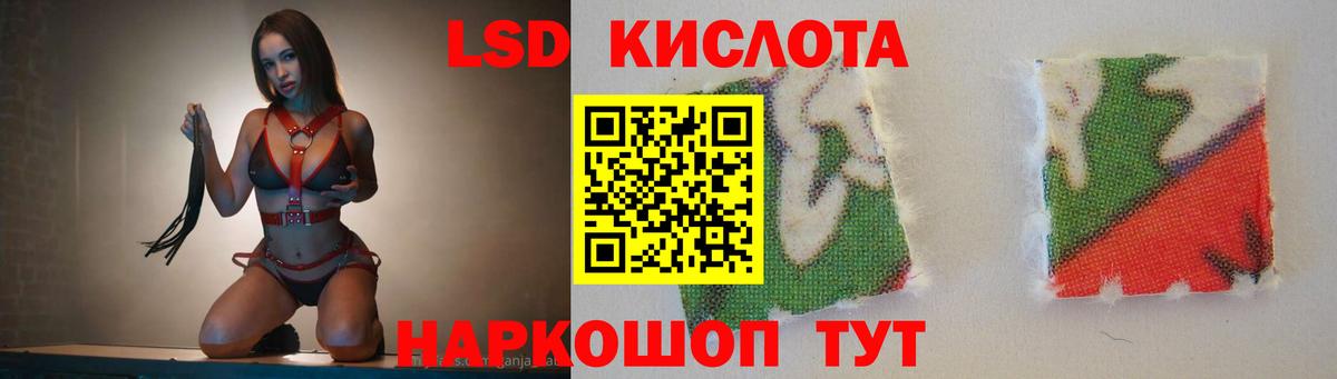 Волгоград  Лсд 25 экстази  Вход с VPN  ЛСД экстази кислота 