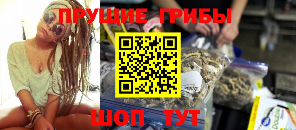 Волгоград  Псилоцибиновые грибы GOLDEN TEACHER  Вход с VPN  наркошоп  Псилоцибиновые грибы Psilocybine cubensis 