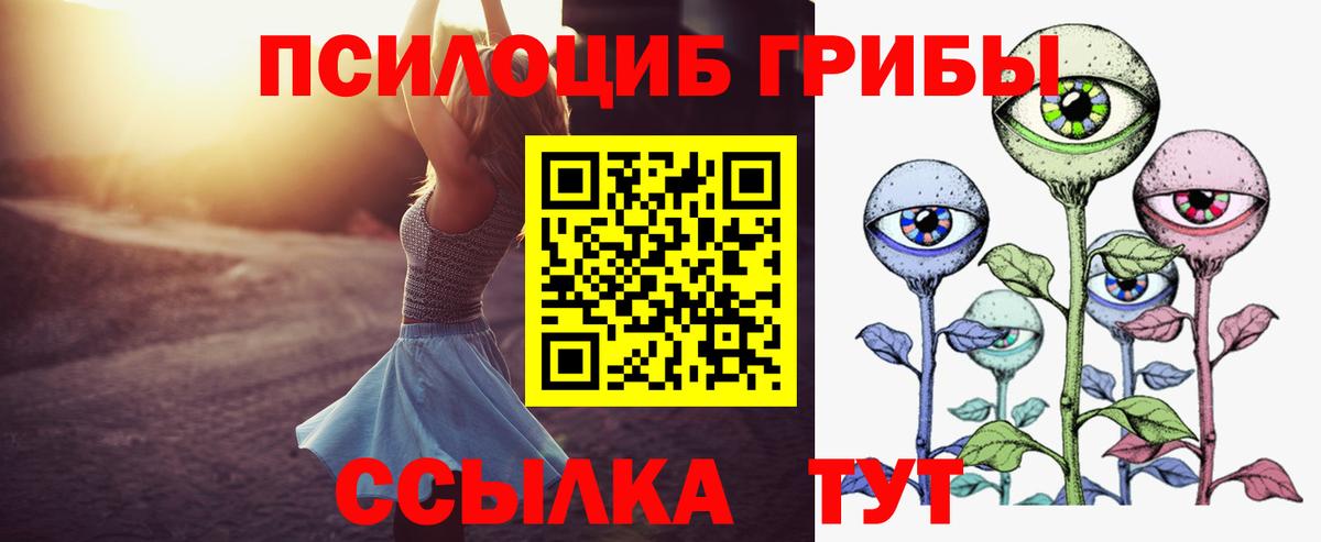 Псилоцибиновые грибы мицелий Волгоград