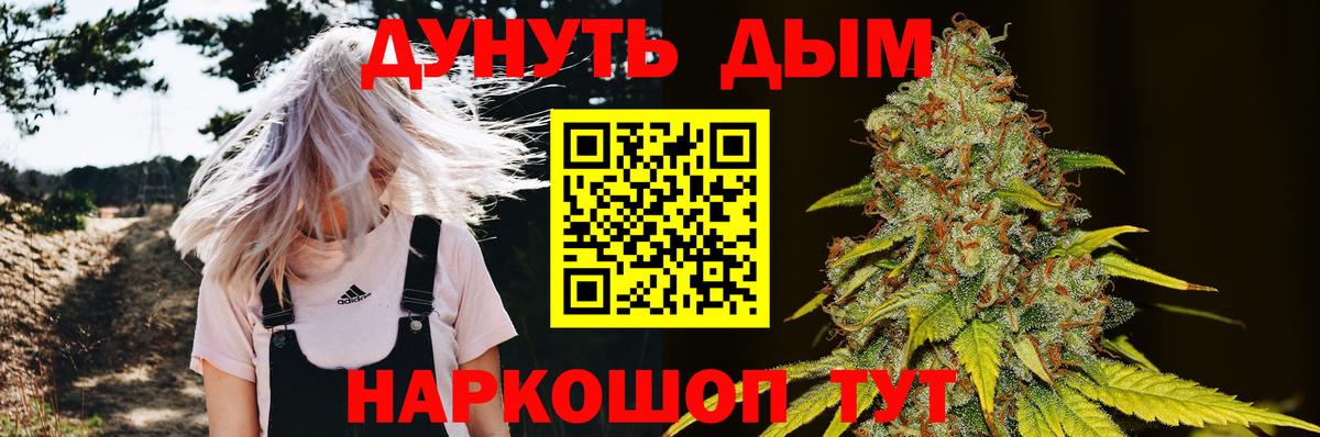 Бошки Шишки сатива Волгоград